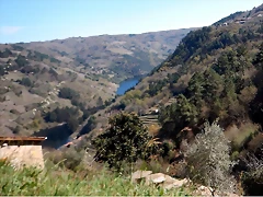 DSCN5126 DSCN5126