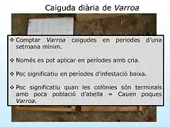 P?ginas desdeAlcover Varroa 20141418812207446_P?gina_2