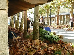 DSCN9808 DSCN9808
