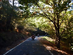 DSCN0955 DSCN0955