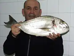 Yo con Dorada 28-07-2010 2,935kg SARDINERO