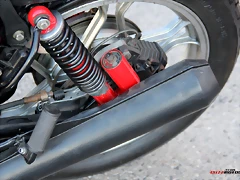 IMG_1337 IMG_1337