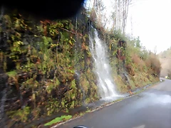 DSCN3298 DSCN3298