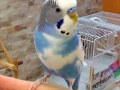 Screenshot_20190615-144101_Milanuncios Screenshot_20190615-144101_Milanuncios