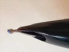 20180908_155916 20180908_155916