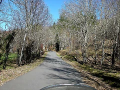 DSCN8034 DSCN8034