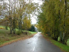 DSCN5886 DSCN5886