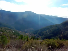 DSCN3146 DSCN3146