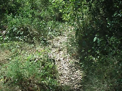 PICT0082
