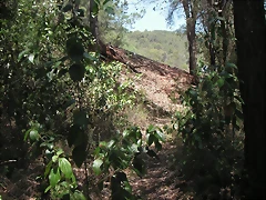 PICT0083