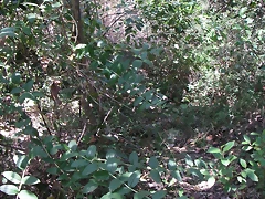 PICT0081