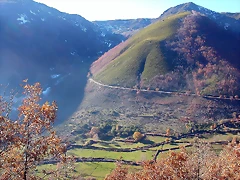 DSCN6867