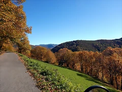 DSCN9157 DSCN9157