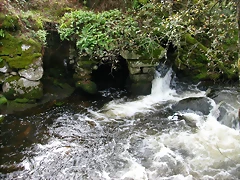 DSCN5749 DSCN5749