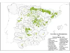 map_Quercus_faginea_tcm7-285939