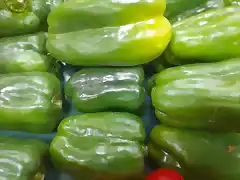 Pimiento morron verde