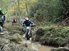 DSC_0110 DSC_0110