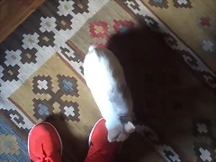 Hugo 20-7-2015 Hugo 20-7-2015