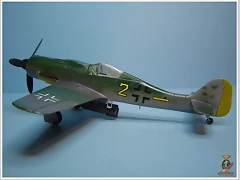 fw-190 - 06 (01)