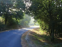 08-IMG_2348