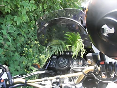 R0012799 R0012799