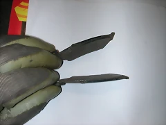 DSCN5256