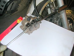 DSCN5240 DSCN5240