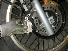 DSCN5233