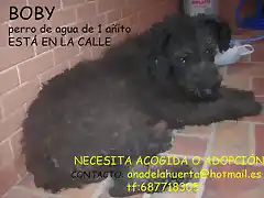 BOBY Sevilla