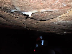 SAM_1124