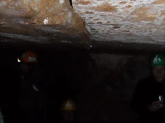 SAM_1117