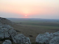 SAM_1175
