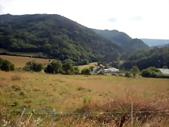 DSCN4375 DSCN4375