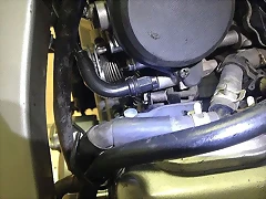 215379987C3952F7F9282C52F7F8DC 215379987C3952F7F9282C52F7F8DC