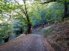 DSCN9182 DSCN9182