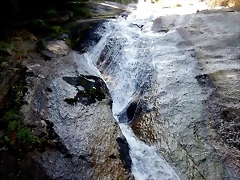 DSCN0681 DSCN0681