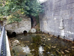 DSCN4361 DSCN4361