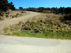 DSCN9139 DSCN9139
