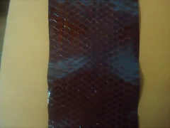 DSC06981