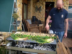IMG_2239 IMG_2239