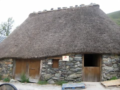 IMG_0417 IMG_0417