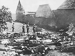 (18)Masacre-Lidice.Checos varones ejecutados por los alemanes.