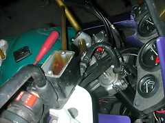 DSCN5243 DSCN5243