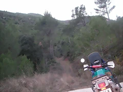 mtb olocau 123