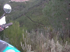 mtb olocau 125