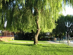 Piscina2