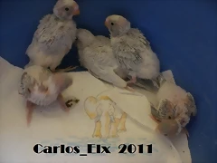 todos  9-9-2011
