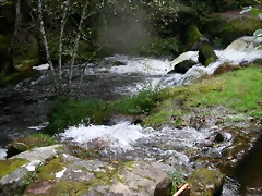 DSCN5745 DSCN5745