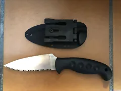 sp1