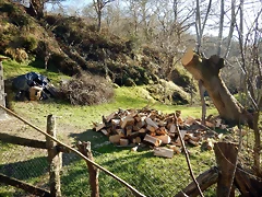 DSCN2830 DSCN2830